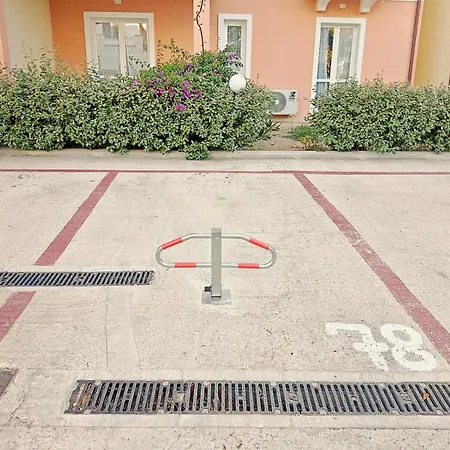 Casa Dei Fiori Blu Lägenhet *
